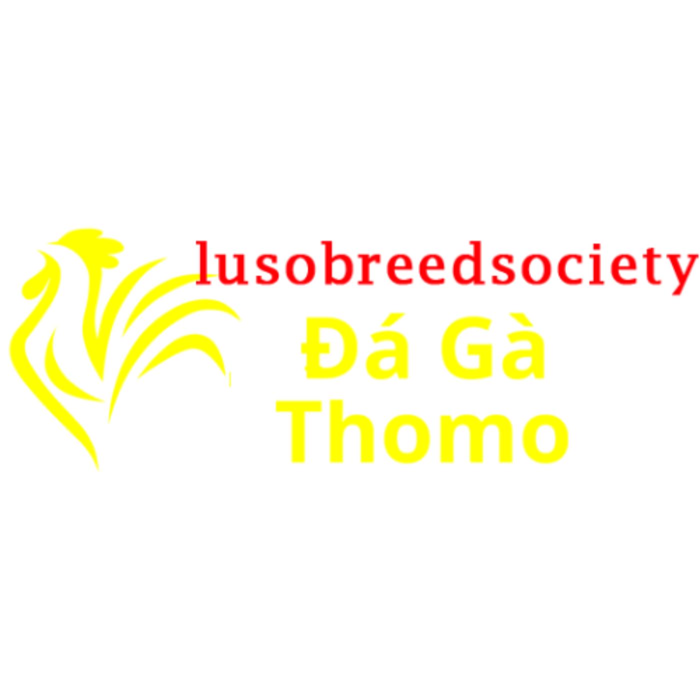 Đá Gà Trực Tiếp Thomo